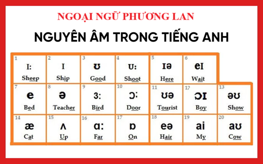 Tiếng anh Vĩnh Yên