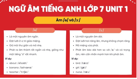 tiếng anh Vĩnh Phúc- lớp 7 Unit 1
