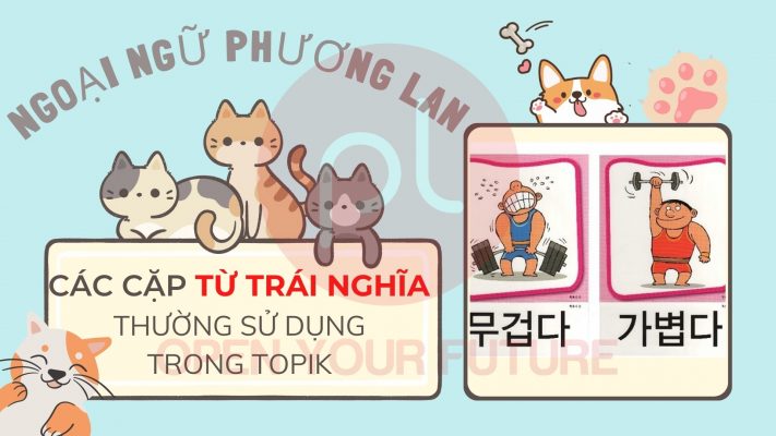 TUYỂN SINH LỚP TIẾNG HÀN SƠ CẤP 1