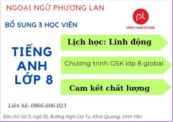 tiếng anh lớp 8 tại Vĩnh Phúc