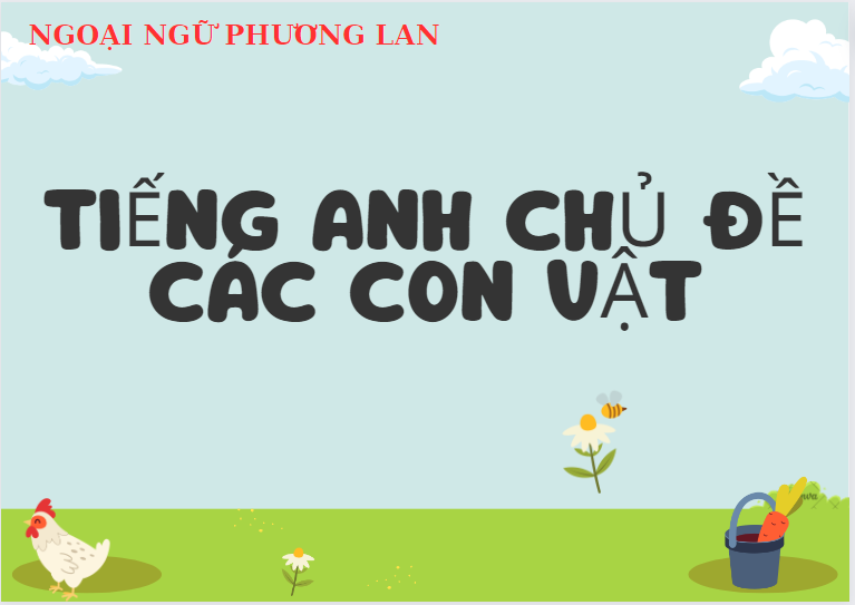 Trung tâm tiếng anh Vĩnh Yên
