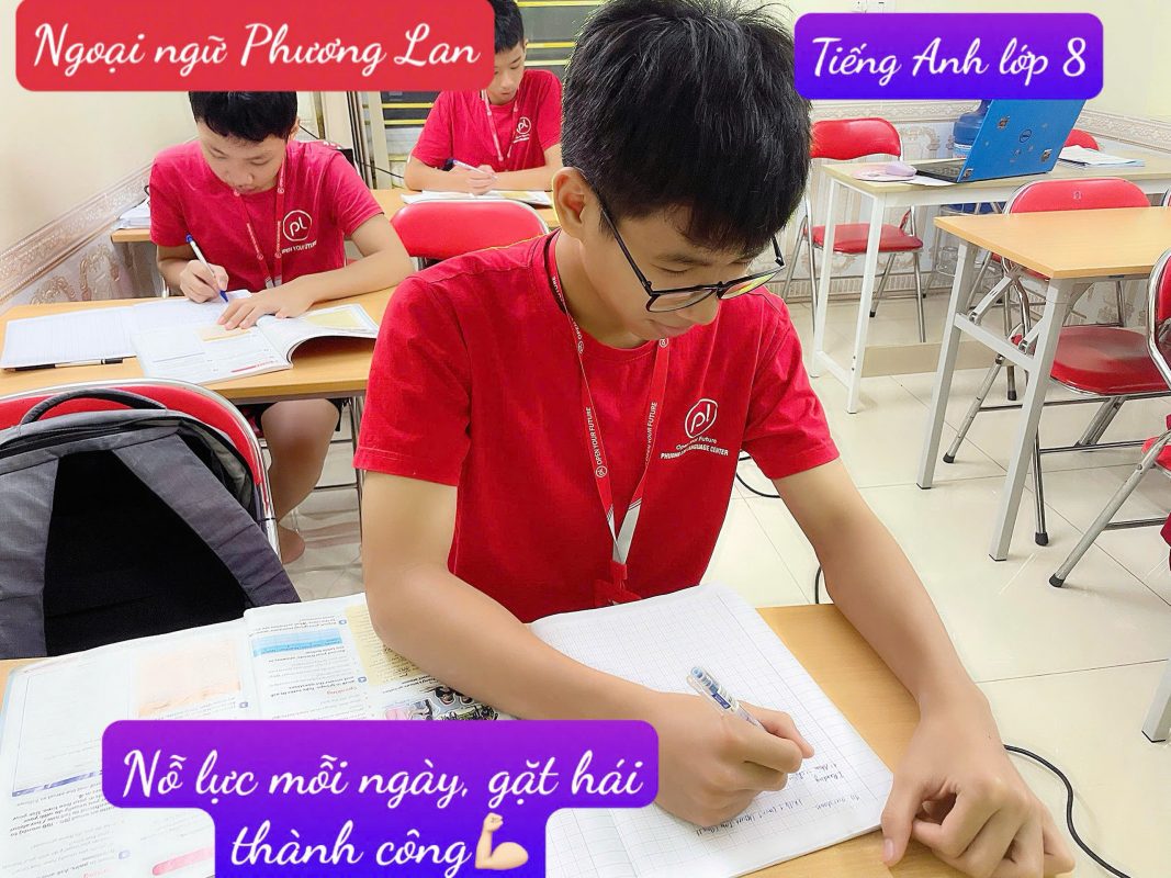 học tiếng anh tại Vĩnh Phúc tiếng anh lớp 8