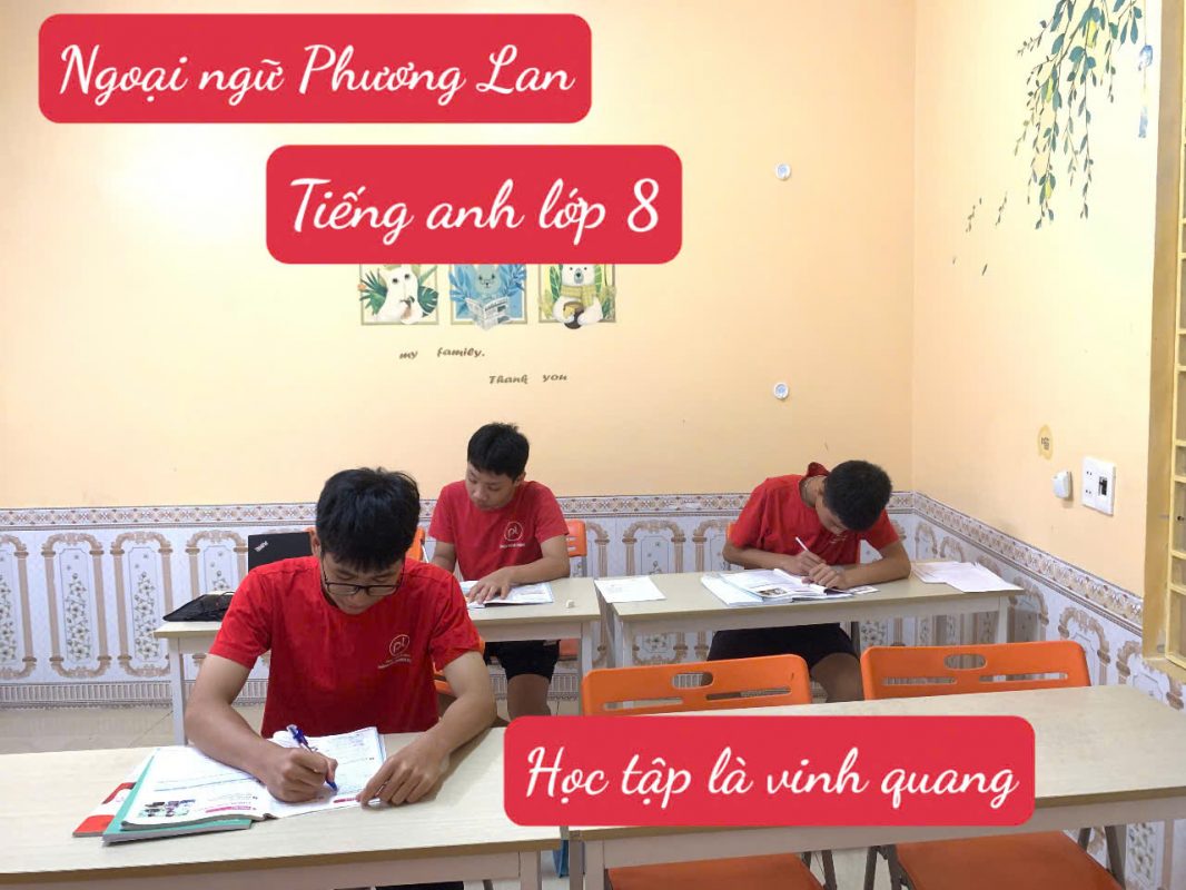 tiếng anh lớp 8 chất lượng tại Vĩnh Phúc